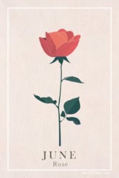 Vintage rose print with delicate floral patterns in soft, romantic colors.