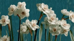 Creative ideas featuring paper, white, and blue fabric designs.