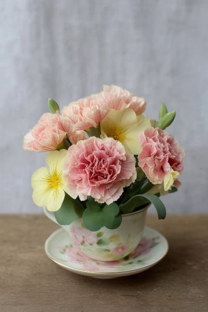 Primrose and carnation flowers arranged in a vintage teacup