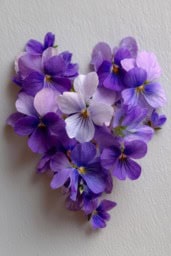 Violet Hearts Decoration for Valentine's Day Violet hearts decoration with fresh flowers for romantic gestures