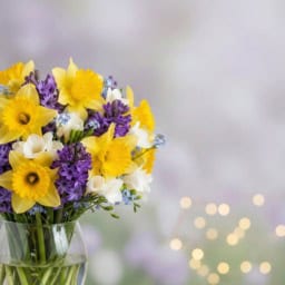 A beautiful bouquet of daffodils and jonquils for March birthdays