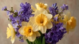 Daffodil and Jonquil flowers symbolizing March birthdays