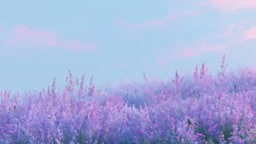 Minimalistic lavender field artwork for serene backgrounds